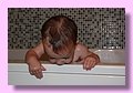 IMG_4482.JPG